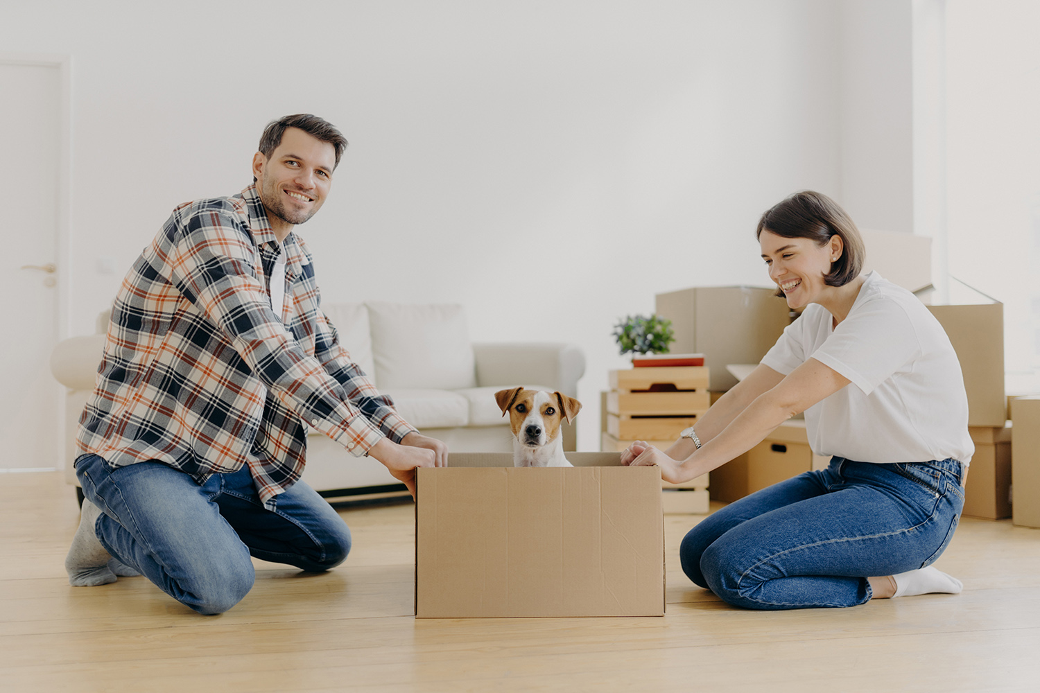 3 روش کاربردی برای آموزش دستشویی سگ